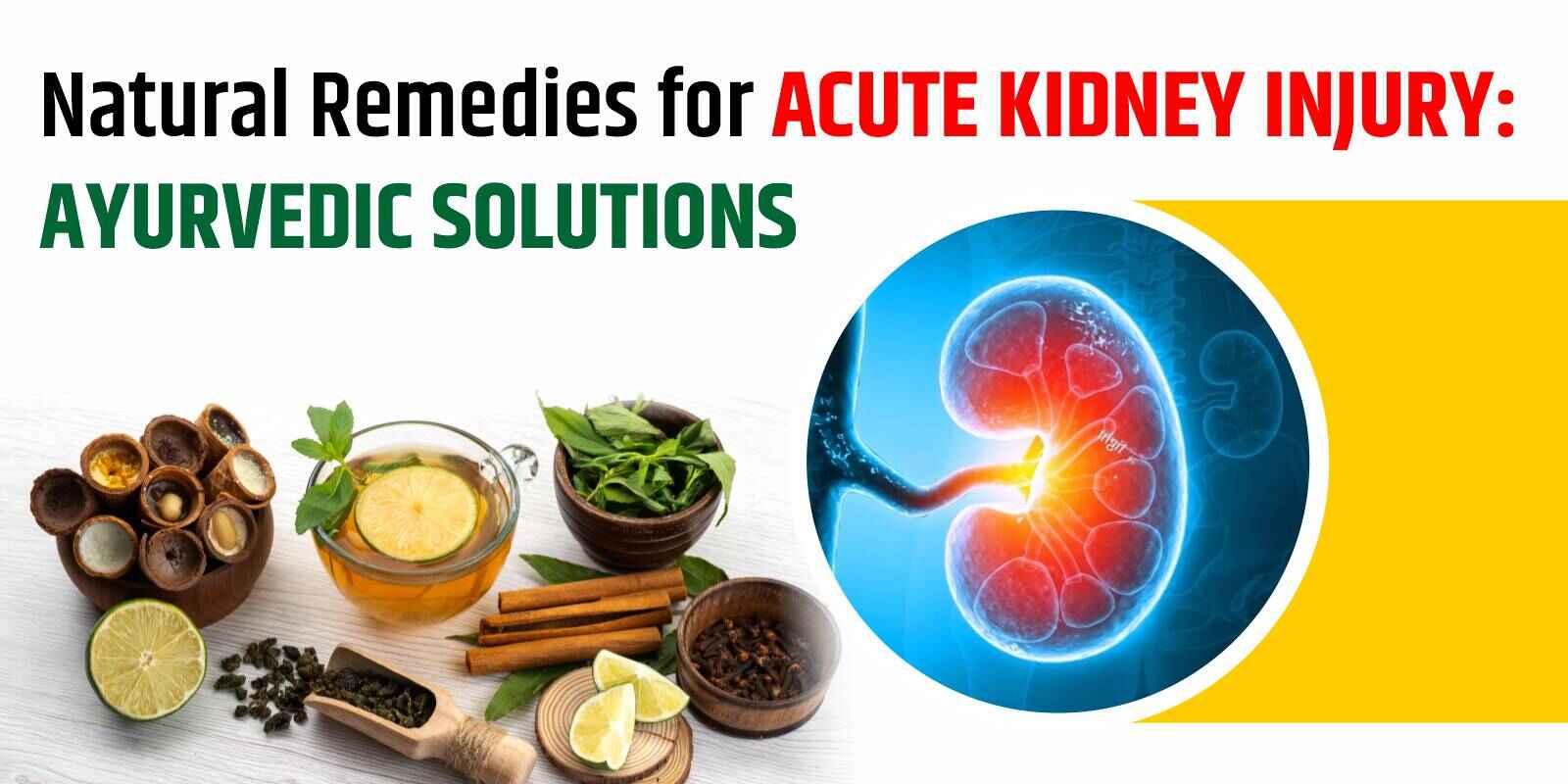 Natural Remedies for Acute Kidney Injury